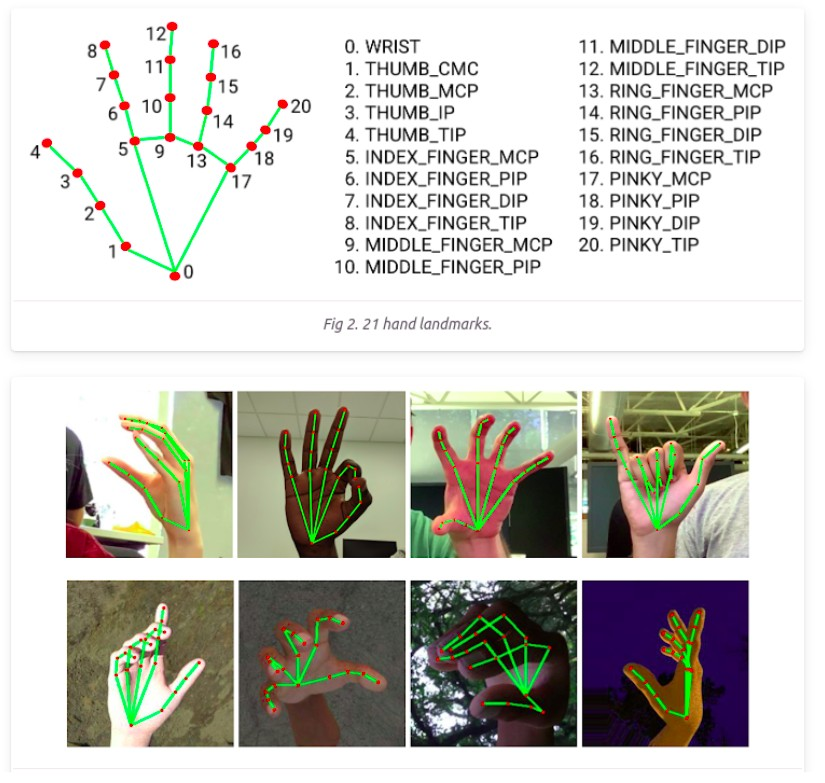 MediaPipe 21 Hand Landmark Topology